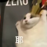 螨虫国王
