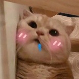 wuliwuli