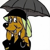 萌犬撑伞