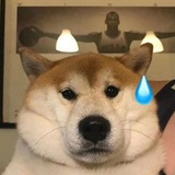 呵呵