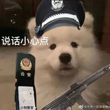 拆家就吃这些啊