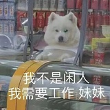 打工狗子
