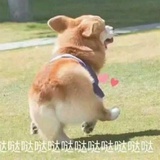 百染