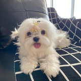 咸鱼中下游