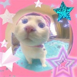 旺旺熊