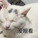 解雨臣解佩令