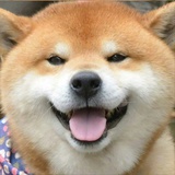Ddudj