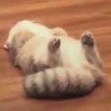 这个月中奖了吗