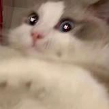 小吉