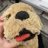 芋泥色西裝