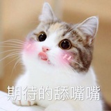 猫猫毛毛萌萌