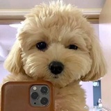qqzi清子