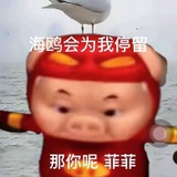 我嗑磕磕嗑