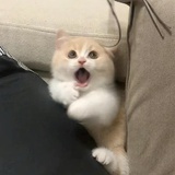 好烦呐