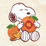 西罗果