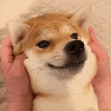努力学习