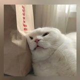 一座孤岛