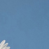 每天散步一小时