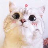 一行