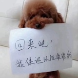 小天皇
