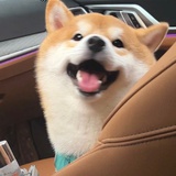 663