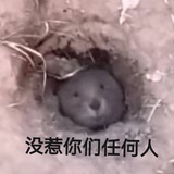 元气满满