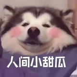你也是一只猪吗