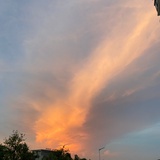悠悠我心