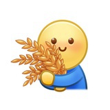 小麦种植专家