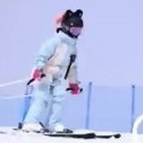 猫猫努力