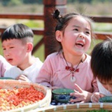 cz橘味橙汁
