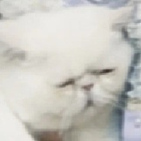豆友
