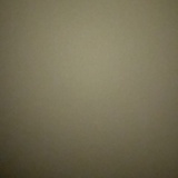淡定的人参