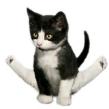 xixi