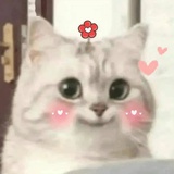 当歌