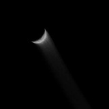 崽狗两只🐕🐕