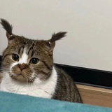 要开心幸福吖