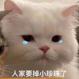 𝐬𝐞𝐥𝐟