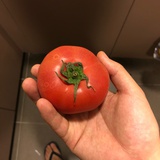 枫