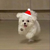 营业充电桩