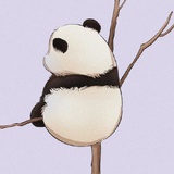 漂白
