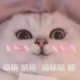 霸道小纯洁