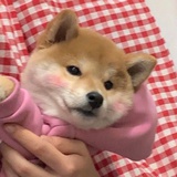 八九