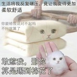 一布达