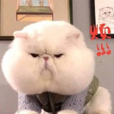 人生/无限