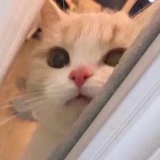 昼梦余