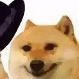 ppsd
