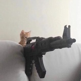 帝博格