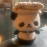 贝壳实验体