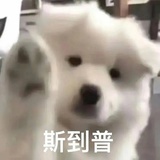 吧啦吧啦